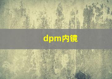 dpm内镜