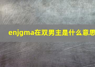 enjgma在双男主是什么意思