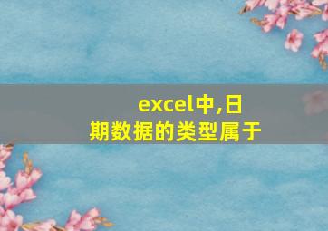 excel中,日期数据的类型属于