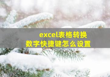 excel表格转换数字快捷键怎么设置