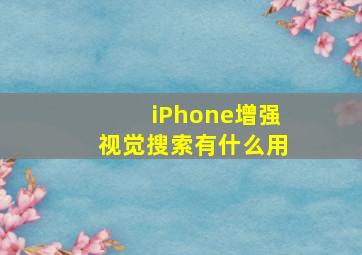 iPhone增强视觉搜索有什么用