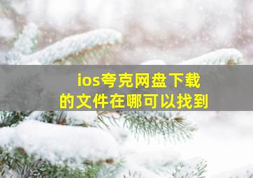 ios夸克网盘下载的文件在哪可以找到