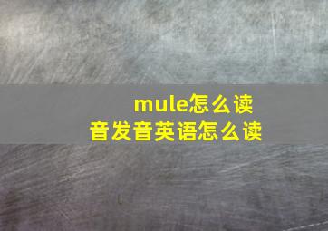 mule怎么读音发音英语怎么读