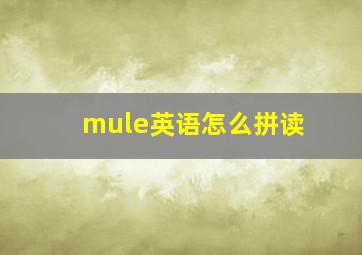 mule英语怎么拼读