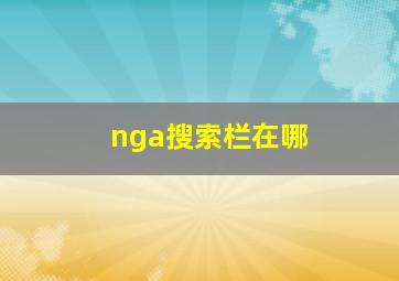 nga搜索栏在哪