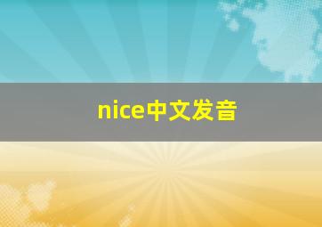 nice中文发音