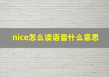 nice怎么读语音什么意思