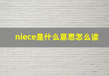 niece是什么意思怎么读