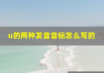 u的两种发音音标怎么写的