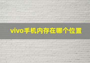 vivo手机内存在哪个位置