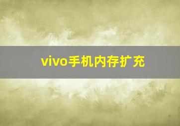 vivo手机内存扩充