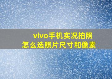 vivo手机实况拍照怎么选照片尺寸和像素