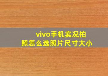 vivo手机实况拍照怎么选照片尺寸大小