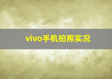 vivo手机拍照实况