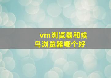 vm浏览器和候鸟浏览器哪个好