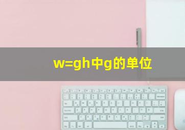 w=gh中g的单位