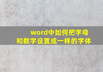 word中如何把字母和数字设置成一样的字体