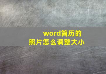 word简历的照片怎么调整大小