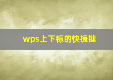 wps上下标的快捷键