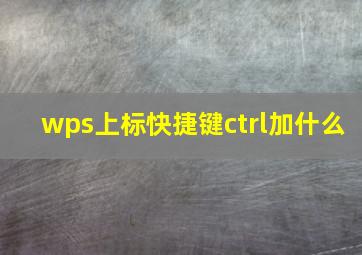 wps上标快捷键ctrl加什么