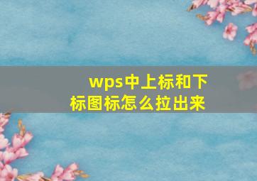 wps中上标和下标图标怎么拉出来