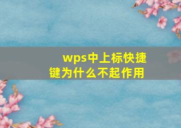 wps中上标快捷键为什么不起作用