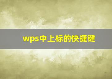 wps中上标的快捷键