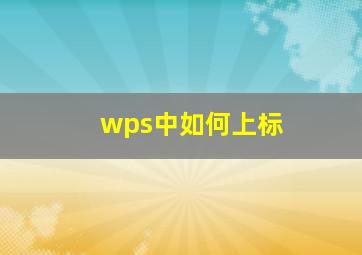 wps中如何上标