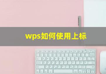 wps如何使用上标