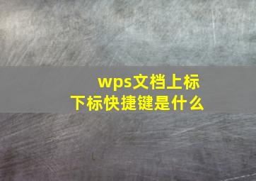 wps文档上标下标快捷键是什么