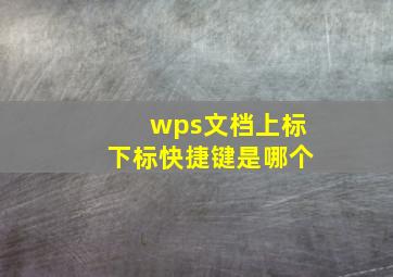 wps文档上标下标快捷键是哪个