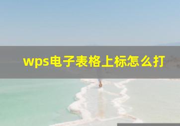 wps电子表格上标怎么打