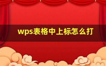 wps表格中上标怎么打