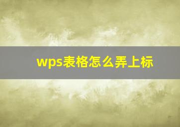 wps表格怎么弄上标