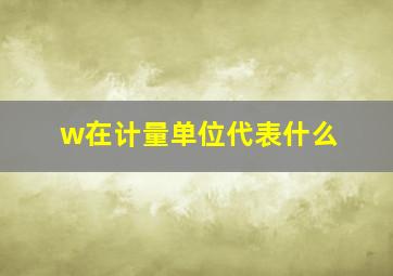 w在计量单位代表什么