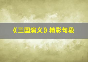 《三国演义》精彩句段