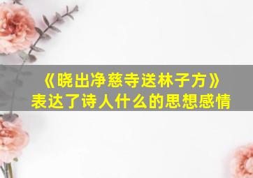 《晓出净慈寺送林子方》表达了诗人什么的思想感情