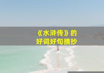 《水浒传》的好词好句摘抄