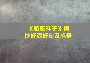 《骆驼祥子》摘抄好词好句及感悟