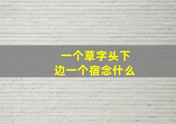 一个草字头下边一个宿念什么