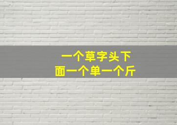 一个草字头下面一个单一个斤