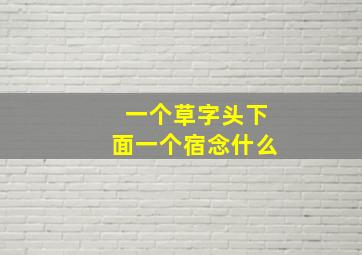 一个草字头下面一个宿念什么