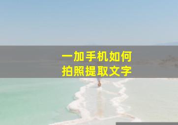 一加手机如何拍照提取文字