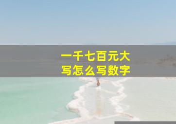 一千七百元大写怎么写数字