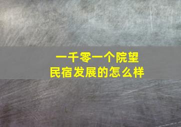 一千零一个院望民宿发展的怎么样