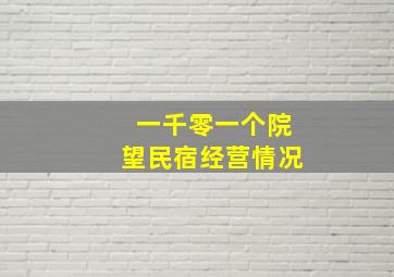 一千零一个院望民宿经营情况