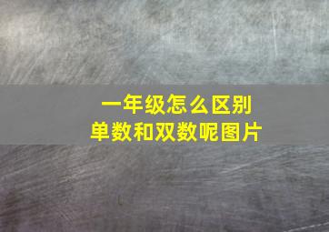 一年级怎么区别单数和双数呢图片