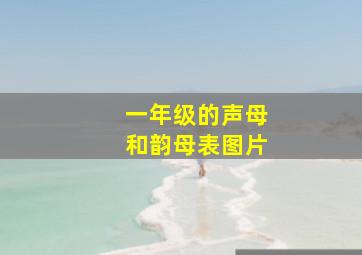 一年级的声母和韵母表图片