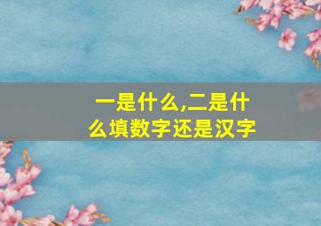 一是什么,二是什么填数字还是汉字