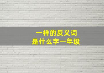 一样的反义词是什么字一年级